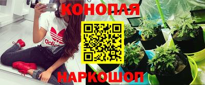 амф Ипатово