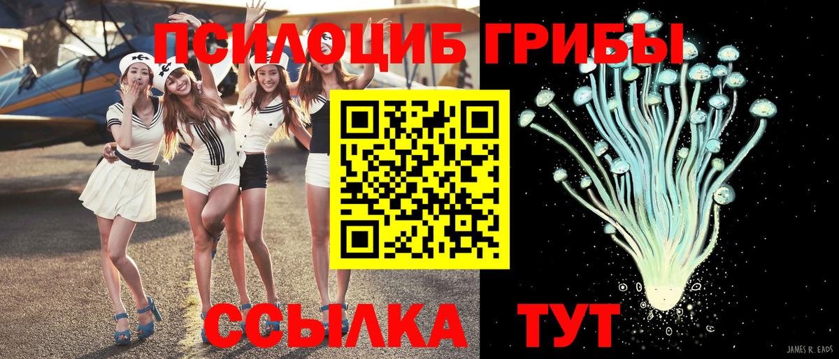 Обнинск  Галлюциногенные грибы Psilocybe  Вход с VPN  Псилоцибиновые грибы Psilocybine cubensis 